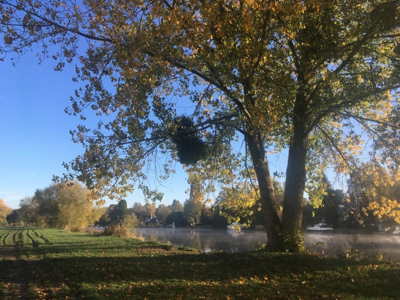 Thames Path at Cookham